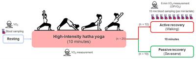 Metabolic Energy Contributions During High-Intensity Hatha Yoga and Physiological Comparisons Between Active and Passive (Savasana) Recovery